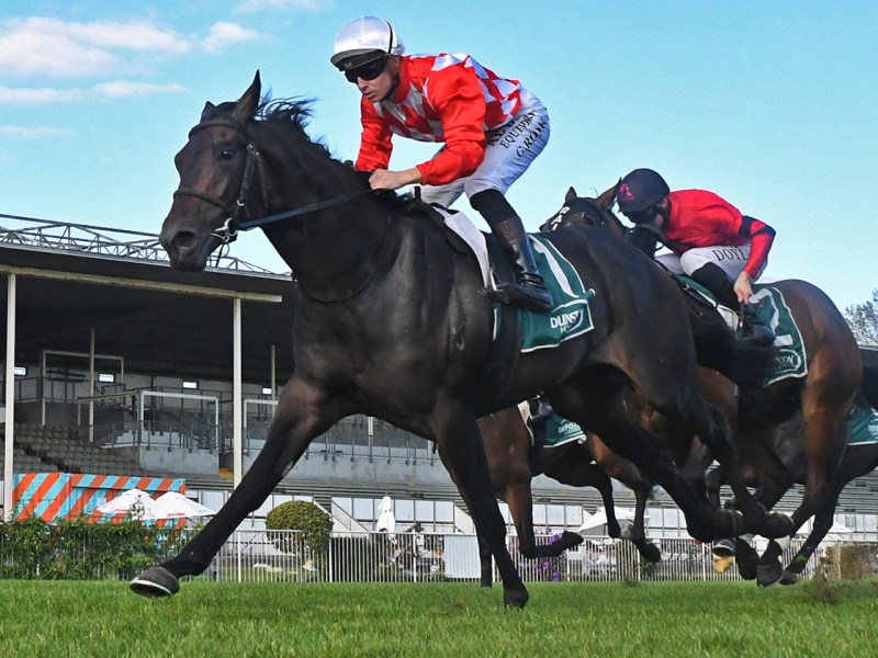 A Queensland campaign is in the offing for Excite. Photo: Kenton Wright (Race Images)